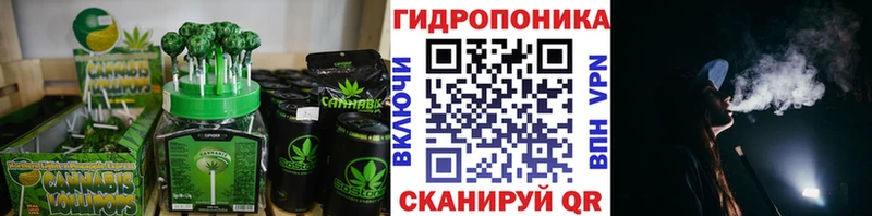 Cannafood конопля  дарнет шоп  Александровское 