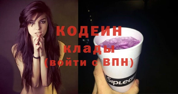 PSILOCYBIN Майский