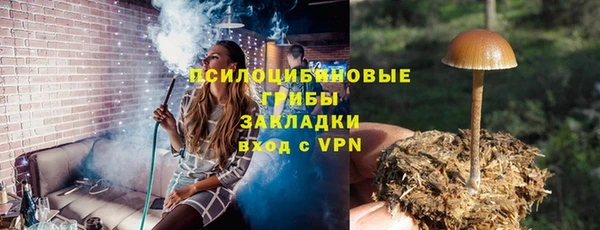 дживик Медногорск