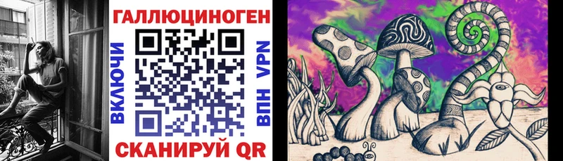 Псилоцибиновые грибы Psilocybe  Александровское 